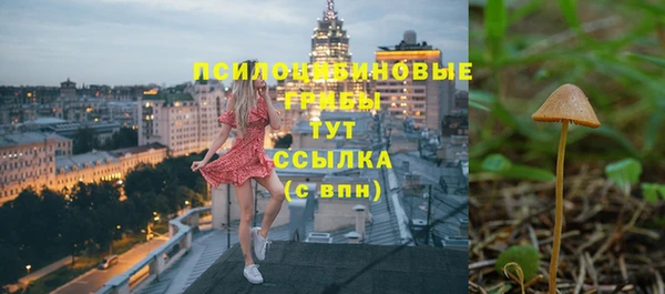 дурь Нязепетровск